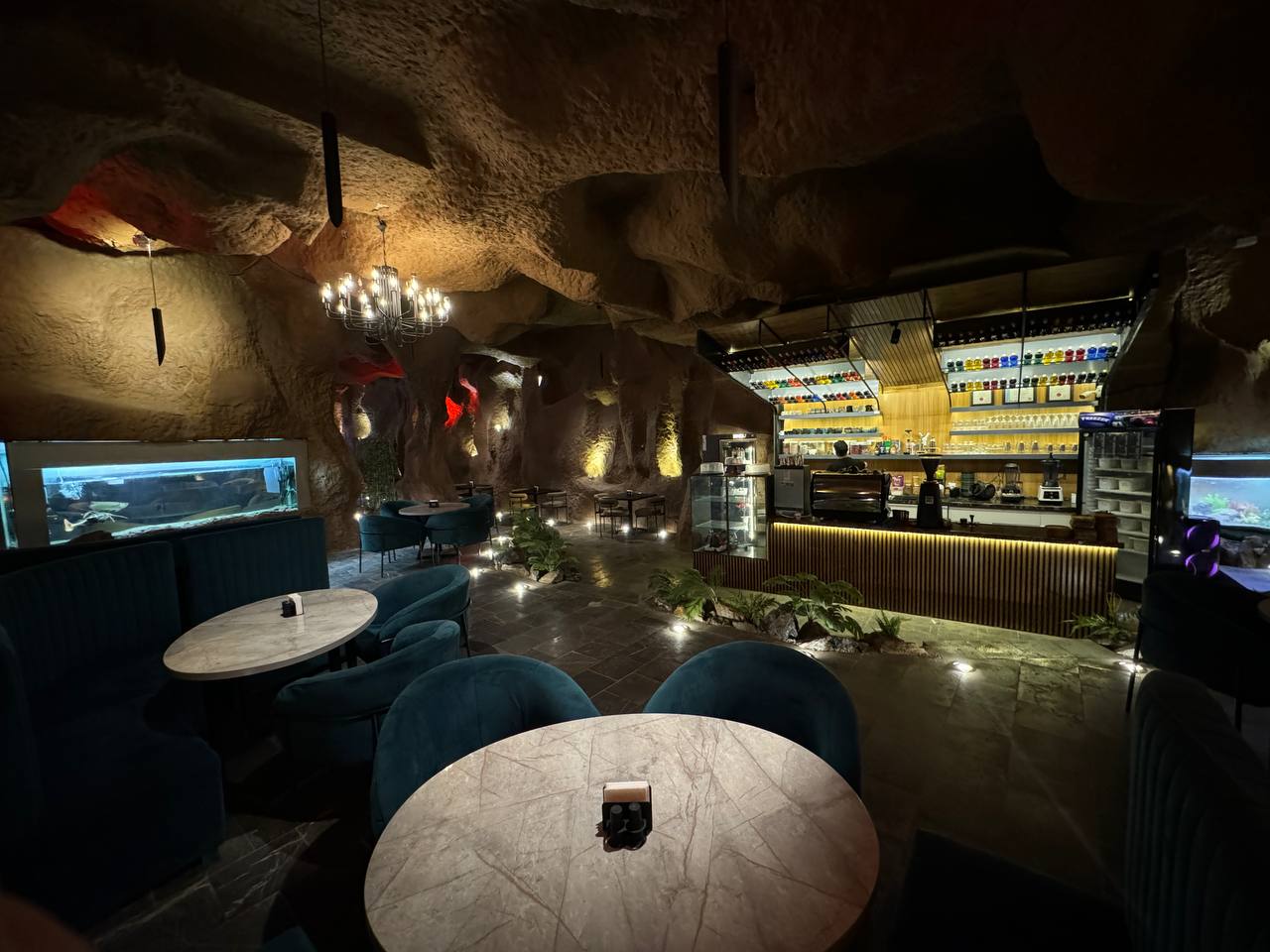 photo_2025-03-26_02-39-10