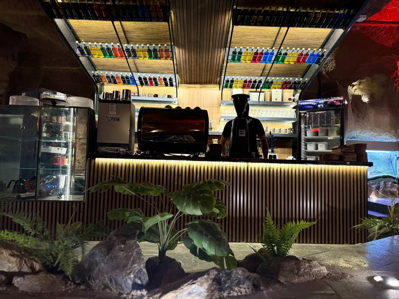 photo_2025-03-26_02-39-16